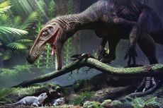 Apa Rahasia Dinosaurus Berevolusi Menjadi Hewan Raksasa?
