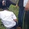 Siswa SMP di Jember Dianiaya Pelajar Sekolah Lain, Video Menyebar, Pelaku Ditangkap