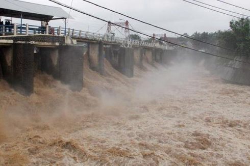 Gelondong Kayu Jati Pasak Bendungan Sungai Ciliwung Nyaris Dicuri!