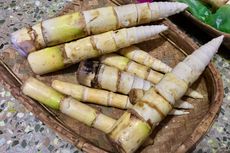 Manfaat Rebung Bambu untuk Pertanian, Dorong Pertumbuhan Tanaman
