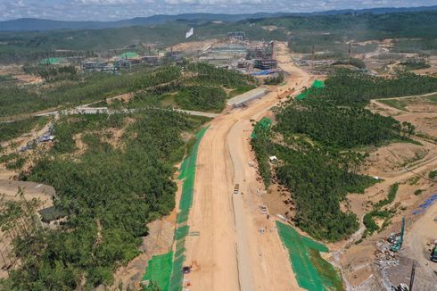 Kembalikan Kejayaan Kalimantan, Pembangunan di IKN Harus Mengacu Rencana Induk Kehati