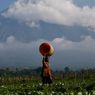 Go Digital, Indonesian Agricultural Small Businesses Urged