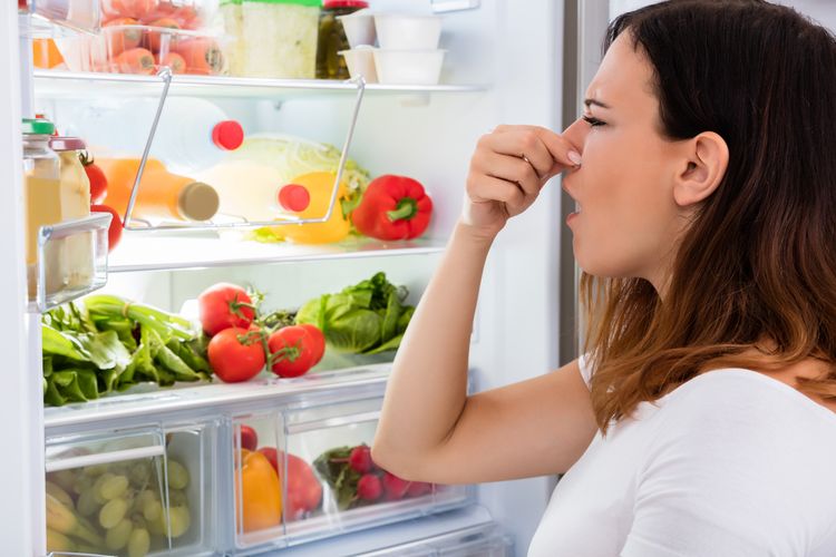 Illustration of smell on refrigerator. 