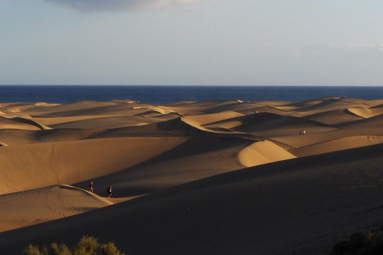 Cagar Alam Khusus Dunas de Maspalomas di pulau Gran Canaria, Spanyol.