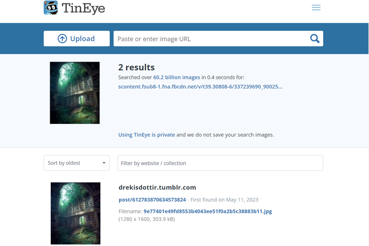 Tangkapan layar pencarian gambar di Tineye, soal gambar perpustakaan terbengkalai dan terlupakan.