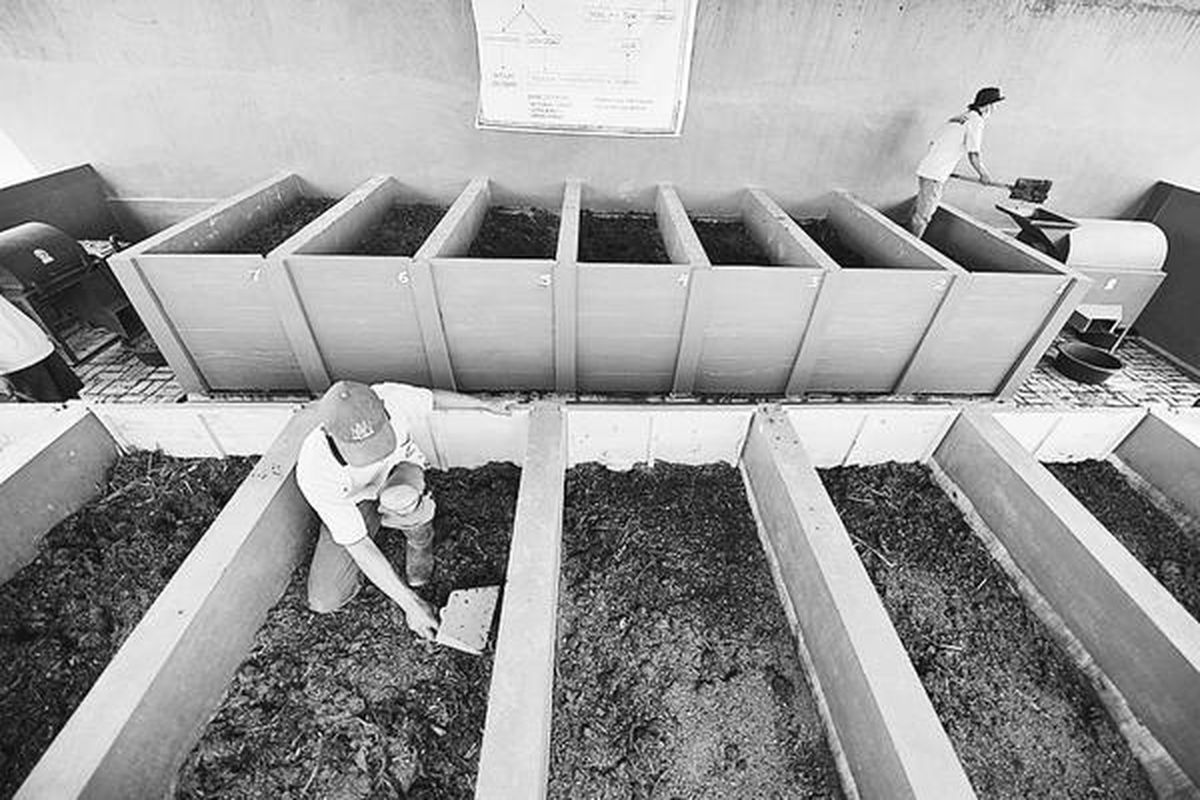 Para pekerja mengolah sampah basah dari Pasar Karangploso di Kabupaten Malang, Jawa Timur, untuk dijadikan pupuk organik, Rabu (18/2). Tempat pengolahan sampah di belakang pasar itu mampu memproduksi 3 ton pupuk organik per hari, yang dijual melalui koperasi dengan harga Rp 700 per kilogram.  