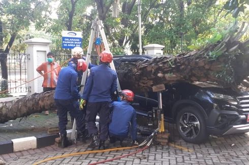 Pohon Tumbang Timpa Mobil di Kantor BPKP Matraman