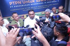 BUMN Pangan Ditarget Bisa Produksi Gula 8 Ton Per Hektar di Tahun Ini