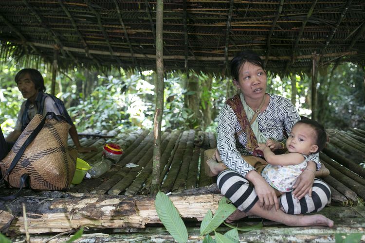 Suku Punan Batu tinggal di hunian sementara Hutan Benau, Kecamatan Tanjung Palas Timur, Kabupaten Bulungan, Kalimantan Utara, Rabu (31/5/2023). Suku Punan Batu menjadi suku terakhir di Kalimantan yang masih hidup dari berburu dan meramu serta berpindah-pindah tempat tinggal. Pemerintah Kabupaten Bulungan memberikan surat keputusan pengakuan Suku Punan Batu sebagai Masyarakat Hukum Adat.