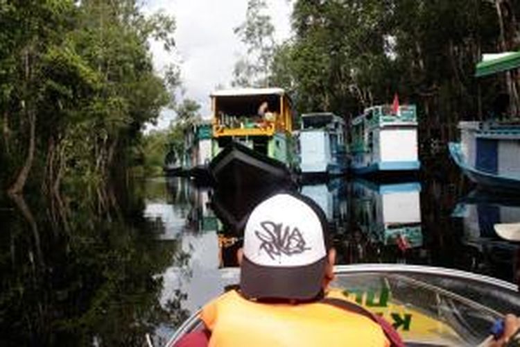 Memasuki Camp Leakey di Taman Nasional Tanjung Puting, Kalteng, Selasa (26/11/2013).