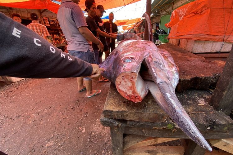 Satu ekor Ikan Marlin sepanjang lebih dari 2 meter yang dijual di Pasar Krui, Minggu (19/5/2024).