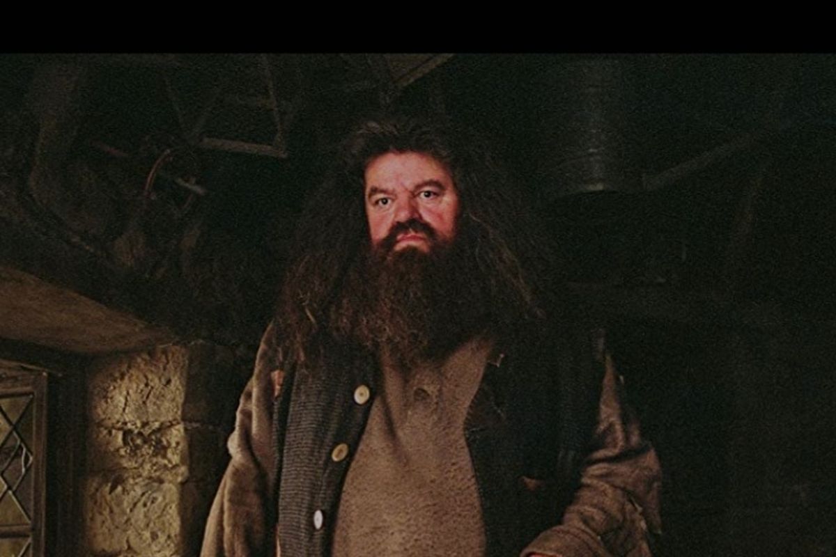 Pemeran Hagrid dalam film-film Harry Potter, Robbie Coltrane, meninggal dunia dalam usia 72 tahun, Jumat (14/10/2022).