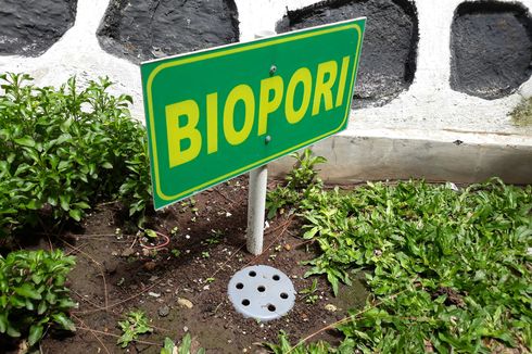 Mengenal Manfaat dan Cara Membuat Biopori di Rumah