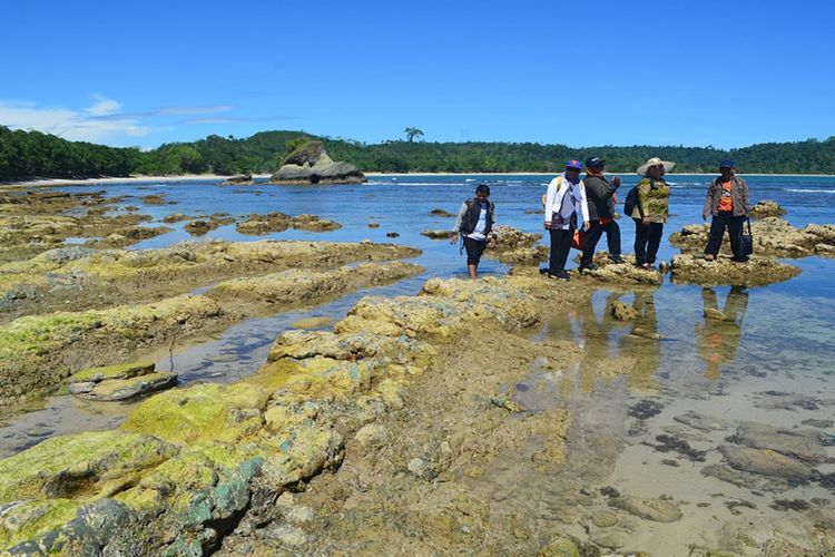 Pantai Rancah Babakan di Kabupaten Cilacap