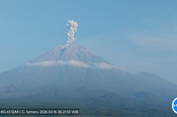 Gunung Semeru Erupsi 5 Kali pada Kamis Pagi, Semburkan Asap Setinggi 1.200 Meter