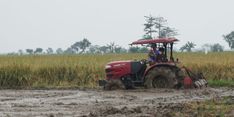 Realisasi KUR Pertanian Lampung Tembus Rp 4,078 Triliun, Berikut Pengalokasiannya