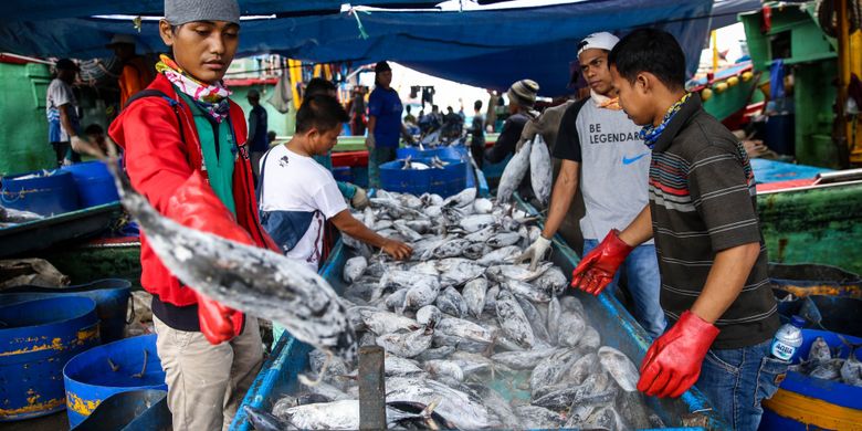 Indonesia’s Export Portfolio Expands to Include Tuna Shipments to South ...