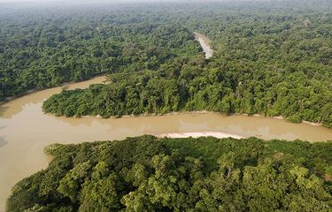 Juliane Koepcke bertahan 11 hari di hutan Amazon setelah pesawat yang ditumpanginya mengalami kecelakaan.