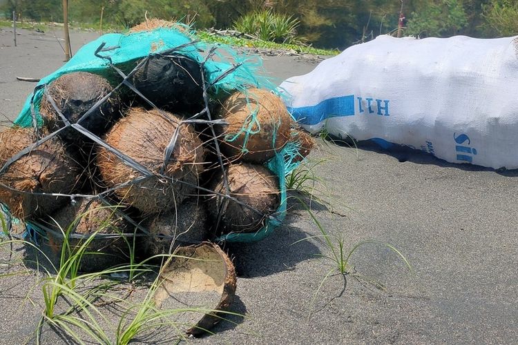 Dari Limbah Jadi Cuan, Warga Kalimeneng Raup Rp 15 Juta per Minggu dari Arang Batok Kelapa
