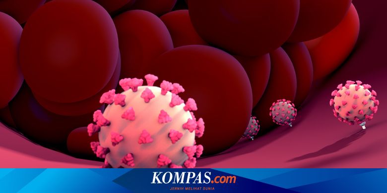 Varian B.1.1.7, B.1.617, dan B.1.351 Masuk Indonesia, Kenali Gejalanya