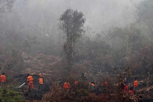 Dua Pembakar Lahan di Kampar Riau Ditangkap