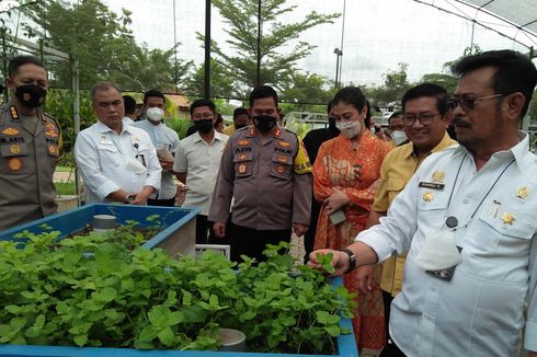 Mentan SYL: Sudah 3 Tahun Tidak Ada Impor Beras, Bukti Kinerja Pertanian Meningkat