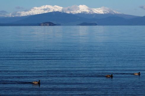 Selandia Baru Naikkan Status Gunung Berapi Taupo, Sumber Letusan Terbesar 5.000 Tahun Terakhi