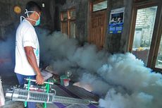 345 Warga Terkena Chikungunya, Dinkes Semarang Tetapkan KLB