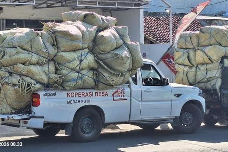 Heboh Video Mobil KDMP Angkut Tembakau di Madura, Asal Kendaraan Masih Dicari