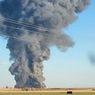  Kebakaran Landa Peternakan Sapi Texas, 18.000 Ternak Mati
