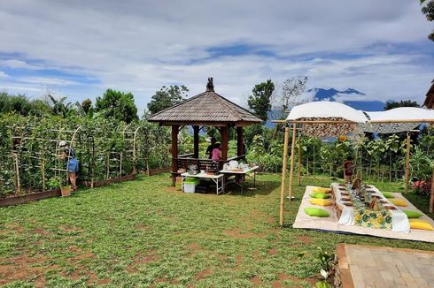 10 Tips Wisata ke OJ Organic Farm agar Makin Menyenangkan