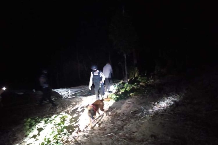 Tim K9 Polda Sulsel tengah menyisir menggunakan anjing pelacak kebun singkong yang menjadi lokasi penemuan mayat wanita tanpa identiras di Kabupaten Gowa, Sulawesi Selatan. Selasa, (12/10/2021).