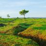 6 Fakta Kupang, Ibu Kota NTT Berjuluk 