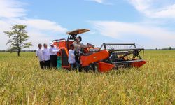 Deflasi Beras Tekan Inflasi Oktober 2025, Mentan Amran: Bukti Sinergi Lintas Sektor