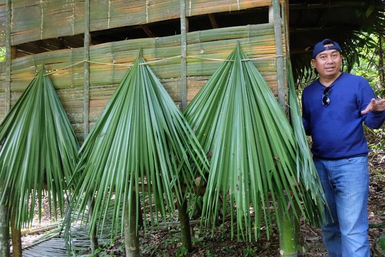 Bupati Bone Bolango, Hamim Pou saat berada di nesting ground peneluran burung Maleo di Taman Nasional Bogani Nani Wartabone