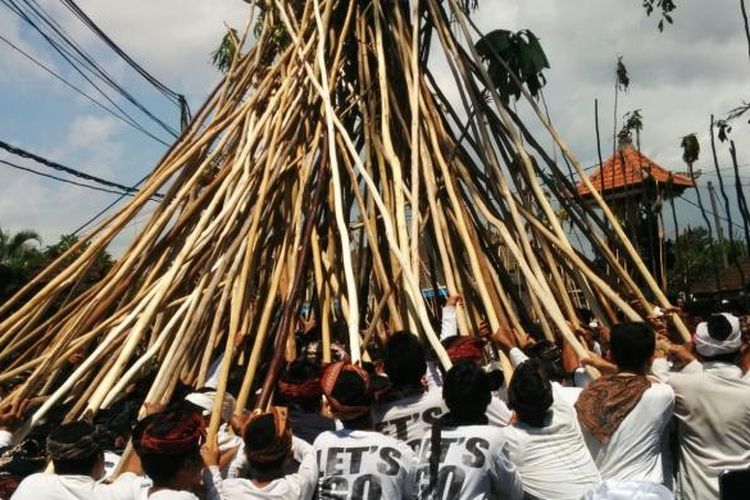 Tradisi Mekotek di Desa Munggu, Mengwi, Kabupaten Badung, Bali, pada Hari Raya Kuningan, Sabtu (20/2/2016). 