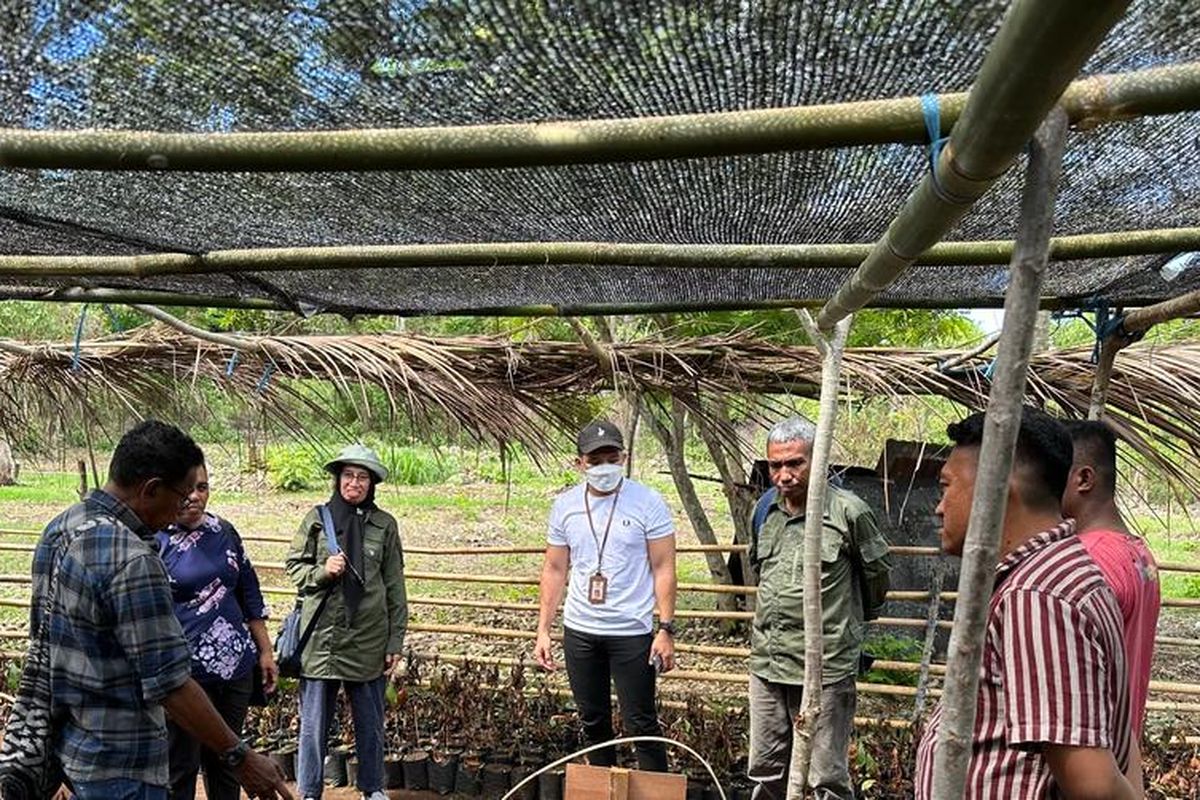 Kementan memberikan bantuan benih kopi dan sarana produksi subsektor perkebunan kepada tujuh kelompok tani (KT) di Maluku Tenggara.