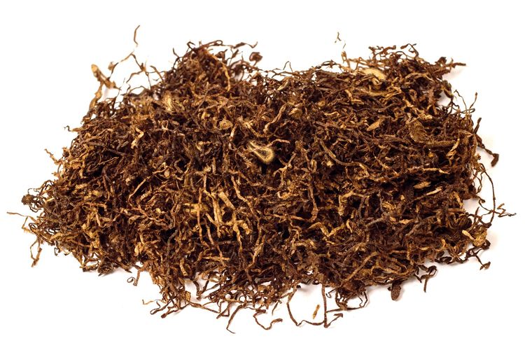 Ilustrasi daun tembakau kering.