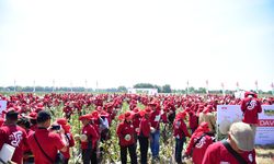 Dukung Pertanian Berkelanjutan di Jawa Timur, Ribuan Petani Tanam Melon DAVINA F1 dan Catatkan Rekor Muri