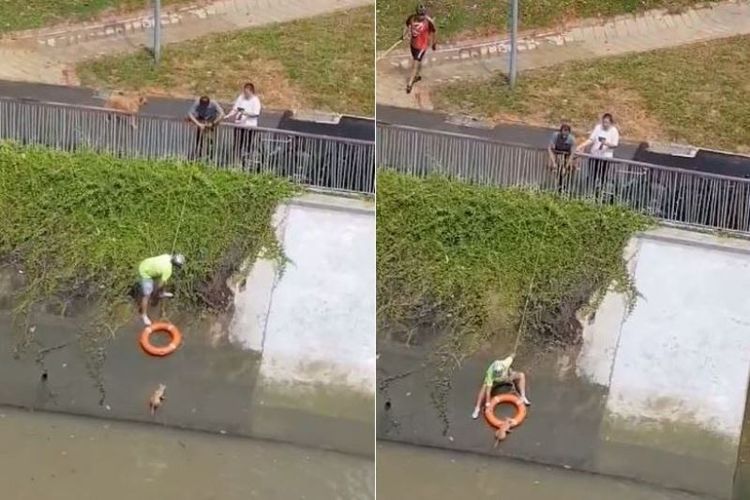 Warga di Singapura terekam melakukan aksi penyelamatan terhadap seekor kucing yang terjebak di pinggir kanal dengan arus deras. (Facebook/Mel Maloz via Straits Times)