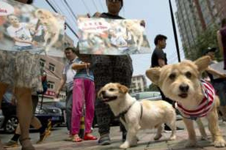 Para aktivis membawa serta anjing peliharaan mereka, menginginkan diakhirinya konsumsi daging anjing. 