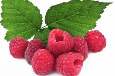 Raspberry, Buah Super untuk Kesuburan