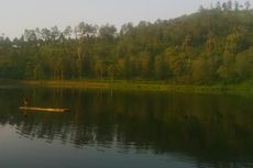 Hutan di Bandung Diubah Jadi Kawasan Industri, Kepala BPLHD 