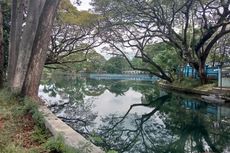 Indahnya Danau Ronggojalu di Probolinggo yang Punya Air Bening