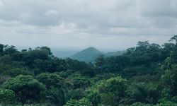 Menhut Raja Juli Soroti Lemahnya Pengawasan Hutan di Daerah, Anggaran dan Personel Terbatas