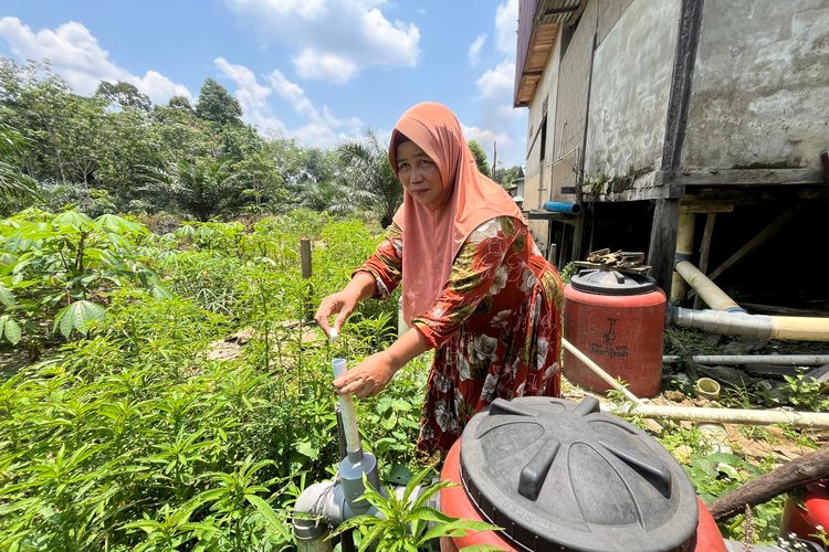 Ningsing, warga di Sekadau, Kalimantan Barat, menyiramkan EM4 untuk mengurai tinja, Jumat (26/9.2025). 