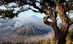 8 Fakta Kawasan Gunung Bromo, Ada Lautan Pasir dan Suku Tengger