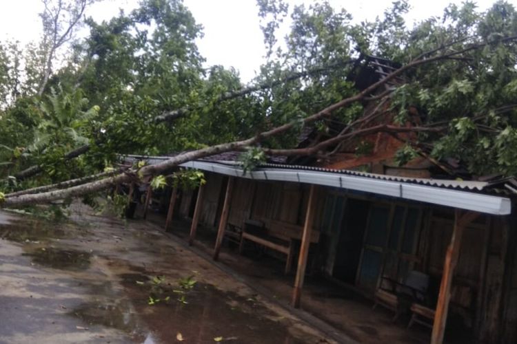 Salah satu Rumah Tertimpa Pohon Akibat Hujan deras dan Angin Kencang di Gunungkidul Minggu (29/12/2019) Petang