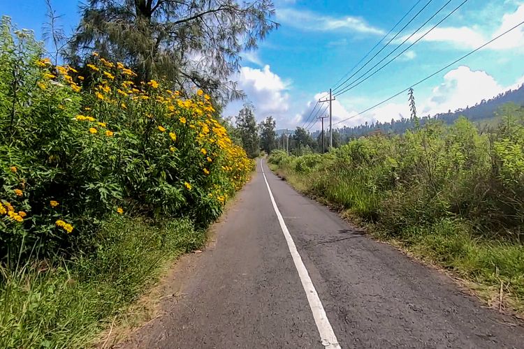 Kondisi jalan ke Kawah Ijen via Bondowoso.