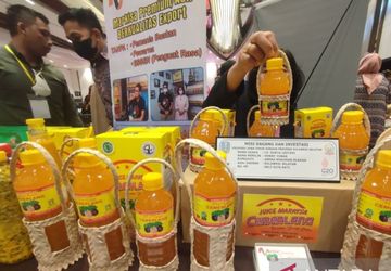 Pertumbuhan Realisasi Kredit UMKM di Sulsel Naik hingga Rp 55 Triliun